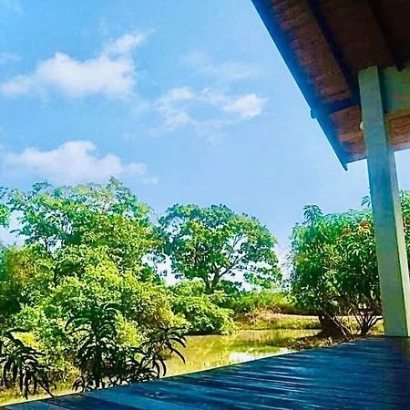 Thihawa Eco Huts Yala Bed and Breakfast Tissamaharama Εξωτερικό φωτογραφία