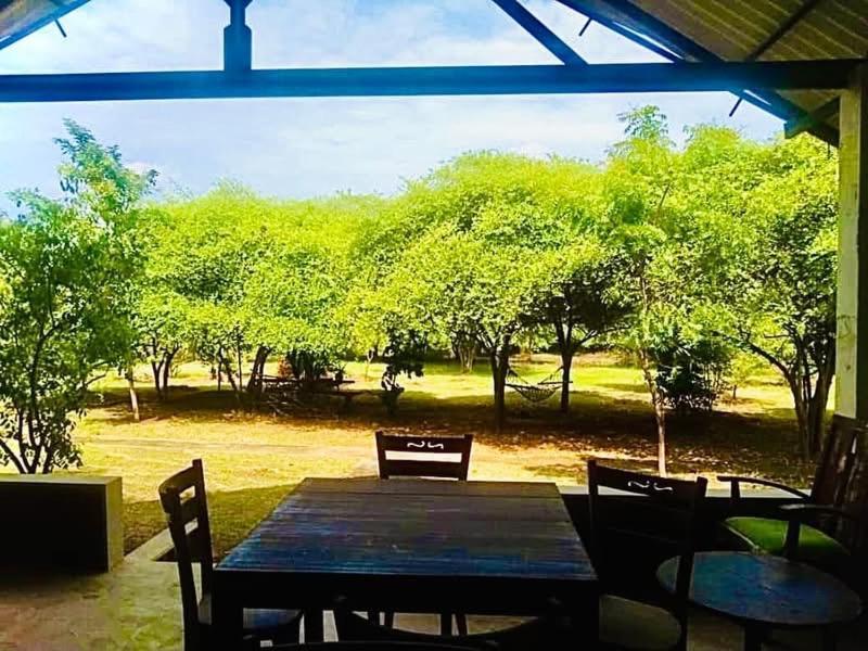 Thihawa Eco Huts Yala Bed and Breakfast Tissamaharama Εξωτερικό φωτογραφία