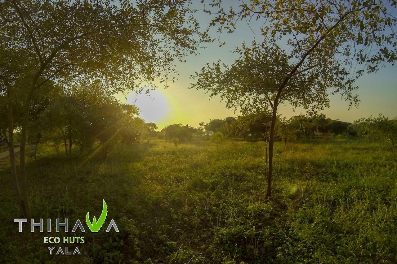 Thihawa Eco Huts Yala Bed and Breakfast Tissamaharama Εξωτερικό φωτογραφία