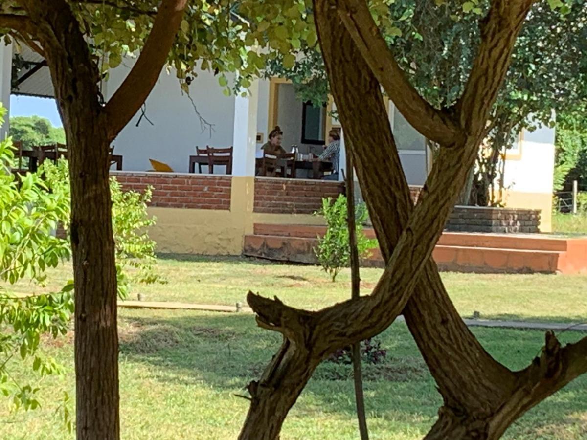 Thihawa Eco Huts Yala Bed and Breakfast Tissamaharama Εξωτερικό φωτογραφία
