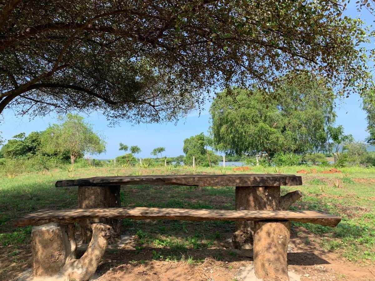 Thihawa Eco Huts Yala Bed and Breakfast Tissamaharama Εξωτερικό φωτογραφία